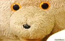 Teenie schlampen durchgeknallte locher s5