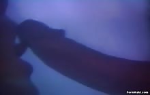 Cinderellas Greatest Tits s16